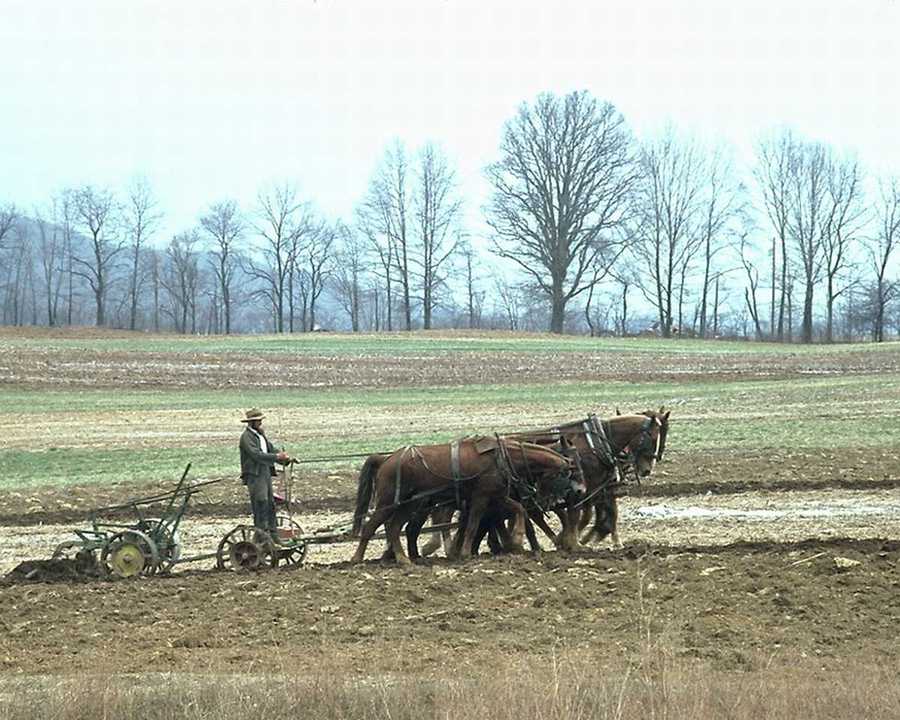 Agricultura