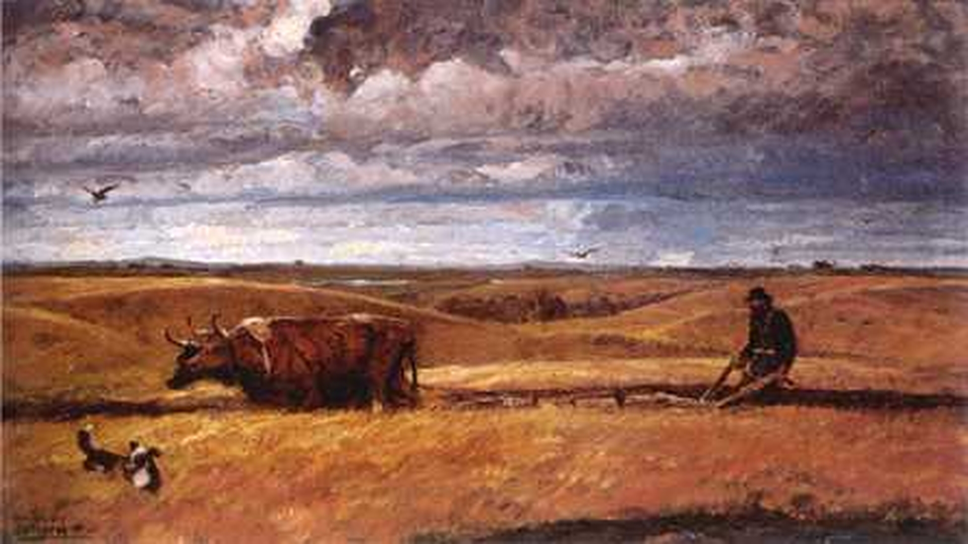 agricultura